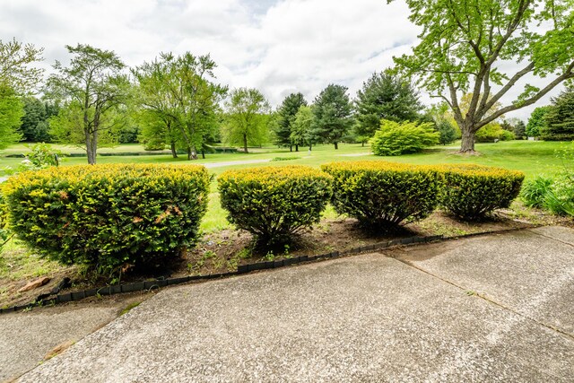 5575 Meadowbrook Rd, Eau Claire, MI 49111 - view of home's community featuring a lawn and view of wooded area
