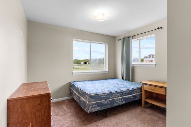 carpeted bedroom with multiple windows and baseboards