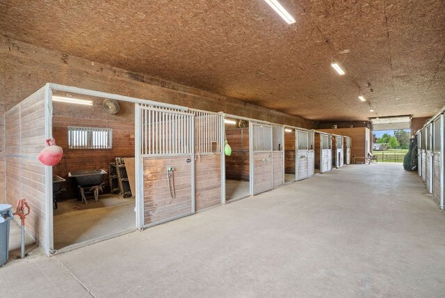 view of horse barn