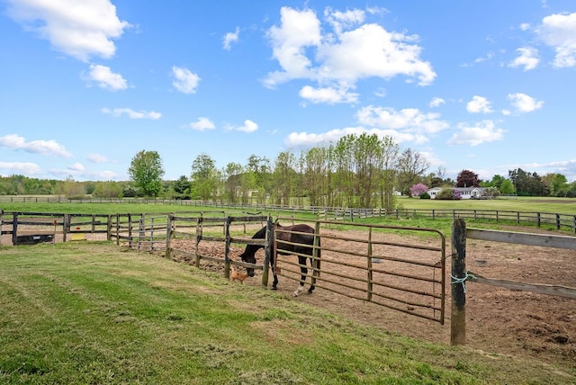 view of yard with a view of rural / pastoral area