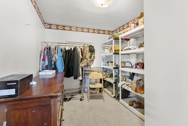 spacious closet featuring carpet