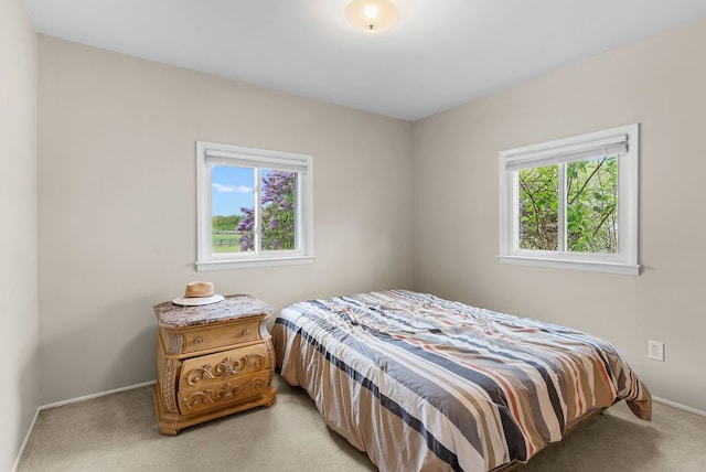 bedroom featuring light colored carpet, multiple windows, and baseboards