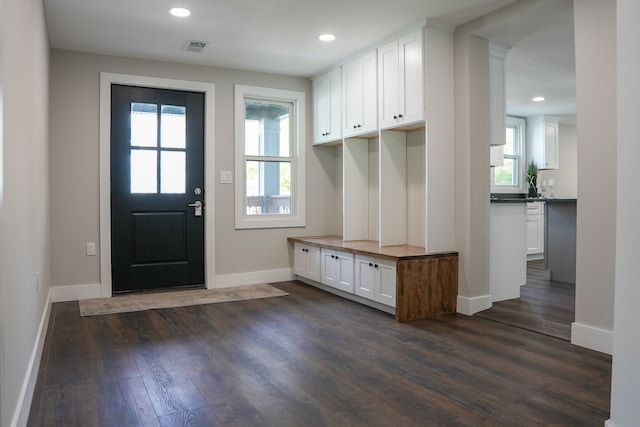 278 W Saint Clair St, Romeo, MI 48065 - mudroom with dark wood finished floors, baseboards, and recessed lighting