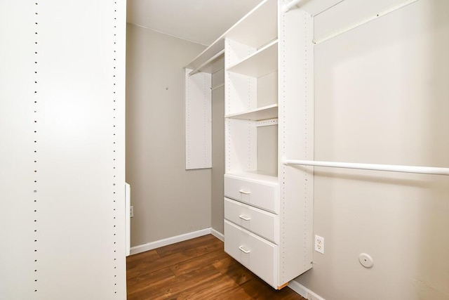 walk in closet with dark wood-type flooring