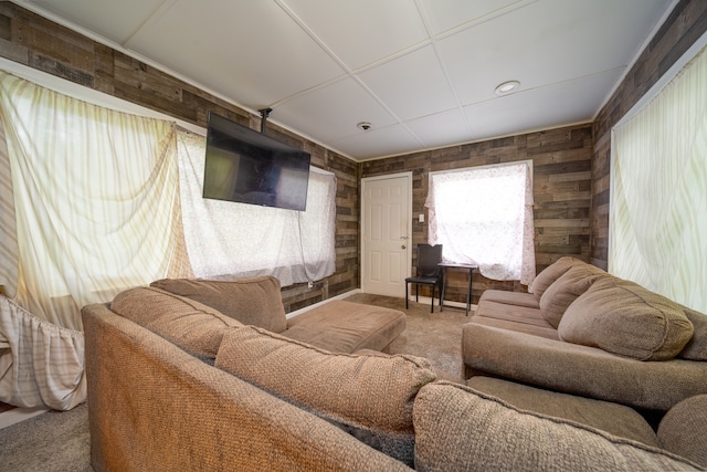 living area featuring carpet and wood walls