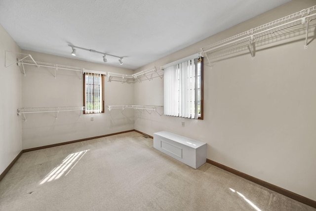216 Wickenham Dr, Spring Arbor, MI 49283 - walk in closet featuring carpet