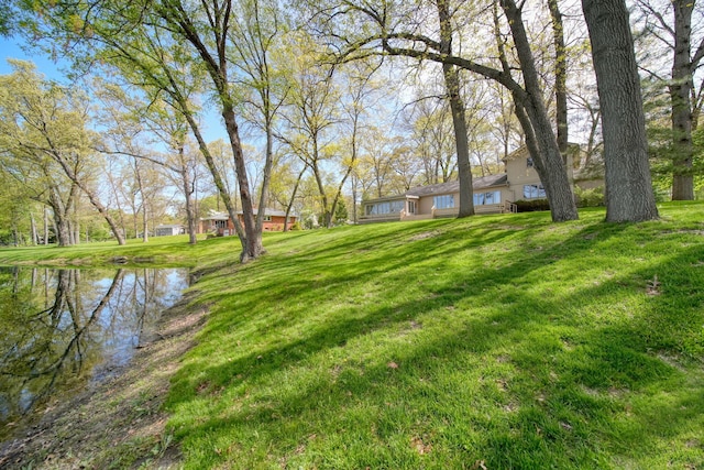 216 Wickenham Dr, Spring Arbor, MI 49283 - view of grassy yard