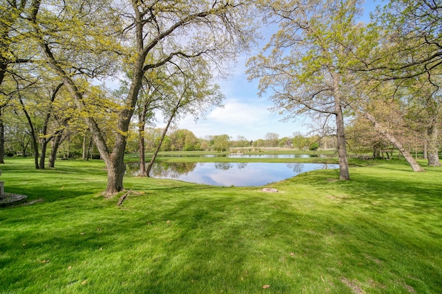 216 Wickenham Dr, Spring Arbor, MI 49283 - water view