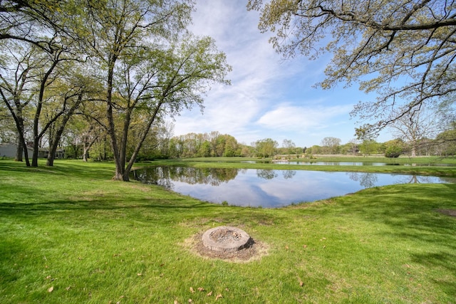 216 Wickenham Dr, Spring Arbor, MI 49283 - water view