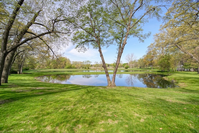 216 Wickenham Dr, Spring Arbor, MI 49283 - water view