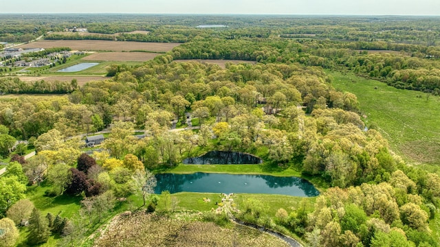 216 Wickenham Dr, Spring Arbor, MI 49283 - view of property location with a nearby body of water and a forest