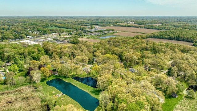216 Wickenham Dr, Spring Arbor, MI 49283 - aerial view of property and surrounding area featuring a nearby body of water and a heavily wooded area