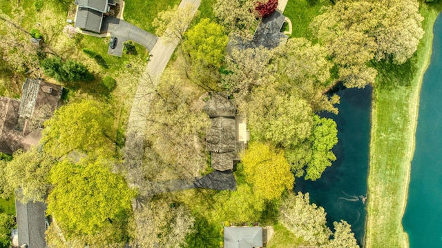 216 Wickenham Dr, Spring Arbor, MI 49283 - bird's eye view of a nearby body of water