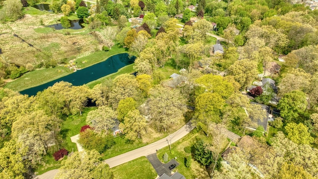 216 Wickenham Dr, Spring Arbor, MI 49283 - bird's eye view of a nearby body of water