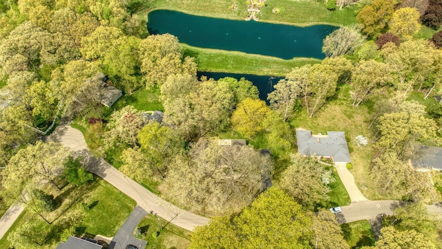 216 Wickenham Dr, Spring Arbor, MI 49283 - bird's eye view of a nearby body of water
