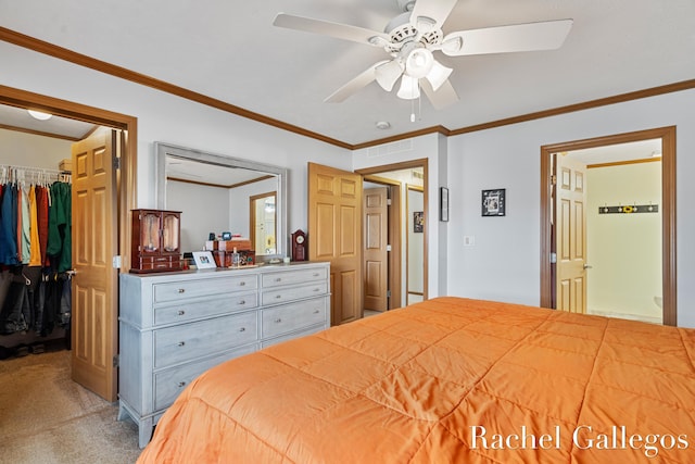 bedroom featuring a walk in closet, carpet flooring, a closet, ornamental molding, and ceiling fan
