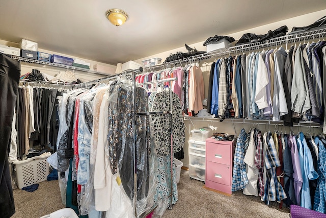 55796 Caesars Dr, Shelby Twp, MI 48315 - spacious closet featuring carpet floors