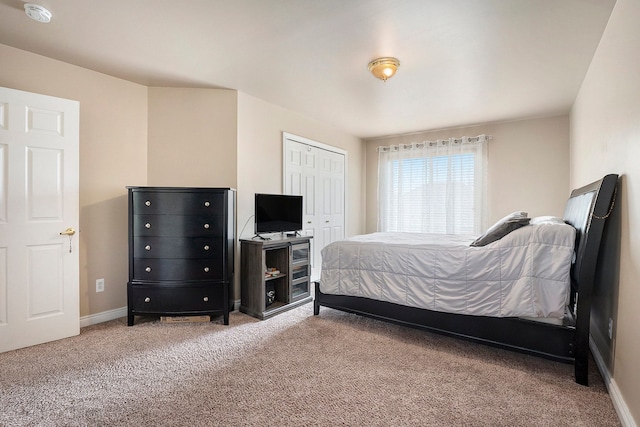 55796 Caesars Dr, Shelby Twp, MI 48315 - bedroom featuring carpet, baseboards, and a closet