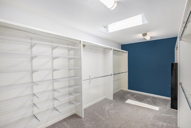 8411 Jordan Rd, Grand Blanc, MI 48439 - walk in closet with a skylight and carpet