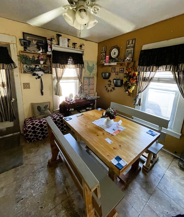 603 Broadway Ave, Owosso, MI 48867 - dining area featuring ceiling fan and a textured ceiling