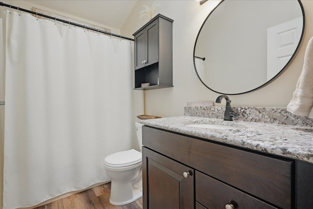 full bathroom with wood finished floors, toilet, and vanity
