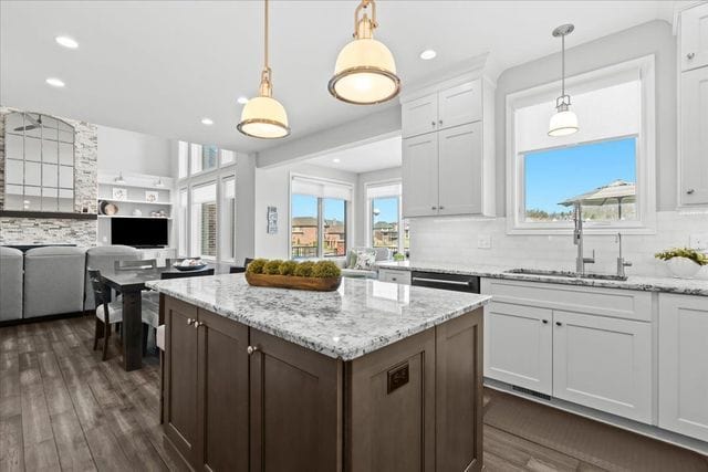 8353 Pier Point Ct, South Lyon, MI 48178 - kitchen with a sink, plenty of natural light, dark wood finished floors, white cabinetry, and recessed lighting