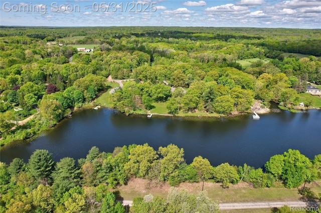 3074 Pond Rd, Leonard, MI 48367 - bird's eye view of a heavily wooded area and a large body of water