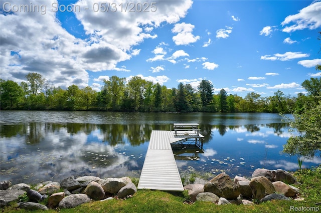 3074 Pond Rd, Leonard, MI 48367 - dock with a water view and a wooded view