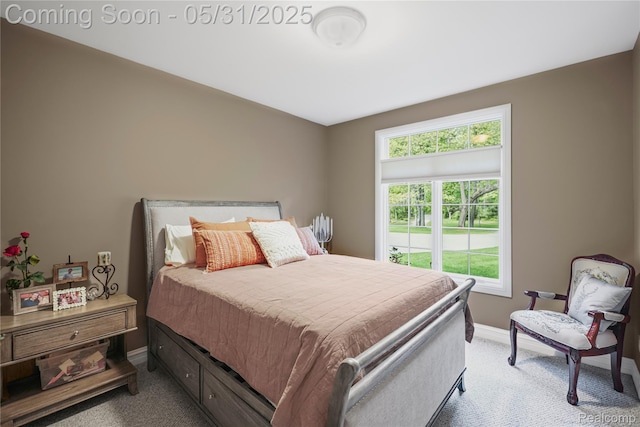 3074 Pond Rd, Leonard, MI 48367 - carpeted bedroom with baseboards