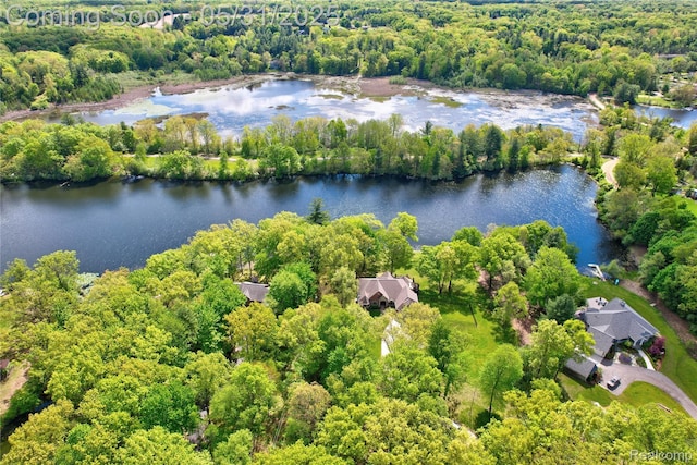 3074 Pond Rd, Leonard, MI 48367 - aerial view of a forest and a nearby body of water