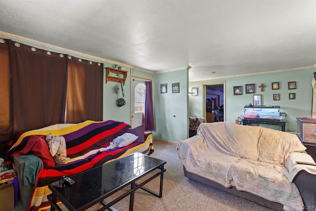5309 Treat Hwy, Adrian, MI 49221 - carpeted living area featuring crown molding and a textured ceiling