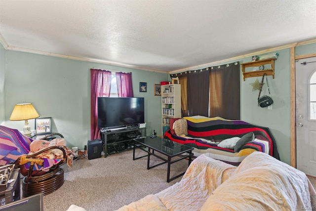 5309 Treat Hwy, Adrian, MI 49221 - carpeted living area with crown molding and a textured ceiling