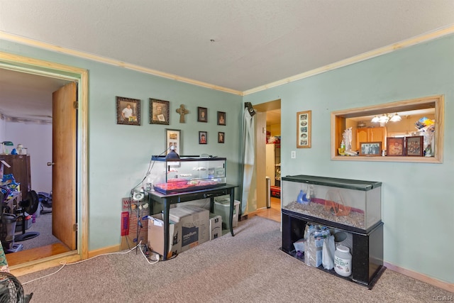 5309 Treat Hwy, Adrian, MI 49221 - rec room with ornamental molding, carpet, and baseboards