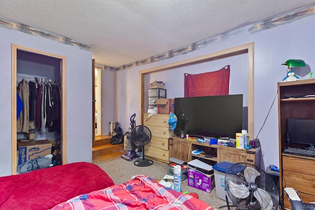 5309 Treat Hwy, Adrian, MI 49221 - carpeted bedroom featuring a textured ceiling and a closet