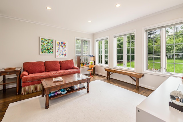 2124 Brockman Blvd, Ann Arbor, MI 48104 - living room featuring wood finished floors, recessed lighting, baseboards, and ornamental molding