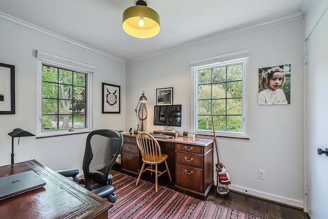 2124 Brockman Blvd, Ann Arbor, MI 48104 - office area with dark wood-style flooring, crown molding, and baseboards