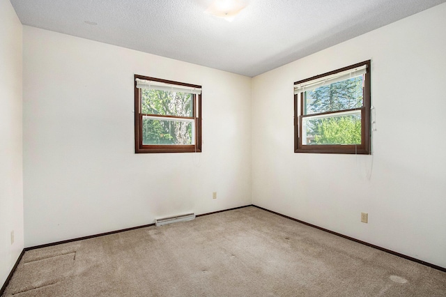 2151 Brown School Rd, Saint Joseph, MI 49085 - spare room featuring plenty of natural light, carpet, baseboards, and a textured ceiling