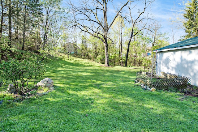 102 Franklin St, Holly, MI 48442 - view of green lawn
