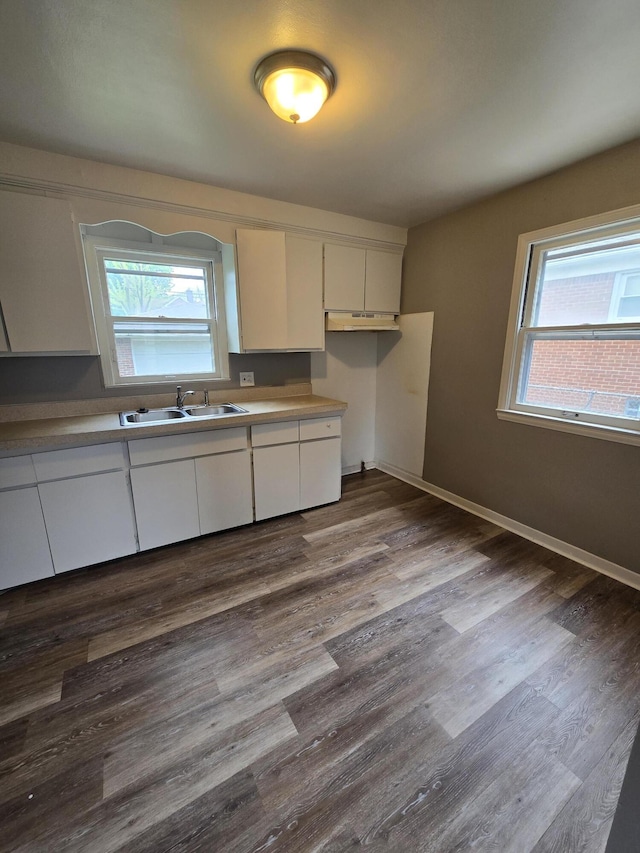 915 Cleophus Pkwy, Lincoln Park, MI 48146 - kitchen with a sink, under cabinet range hood, white cabinetry, and dark wood finished floors