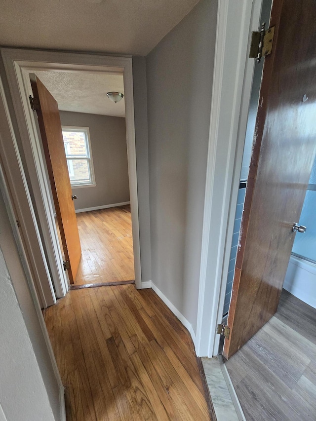 915 Cleophus Pkwy, Lincoln Park, MI 48146 - corridor featuring wood finished floors, baseboards, and a textured ceiling