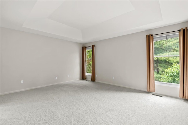 spare room with a tray ceiling, healthy amount of natural light, and baseboards