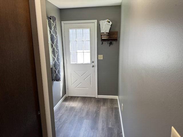 202 Kalamo St, Olivet, MI 49076 - doorway to outside featuring wood finished floors and baseboards