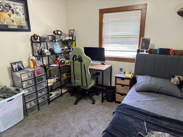 202 Kalamo St, Olivet, MI 49076 - bedroom featuring carpet floors and a desk