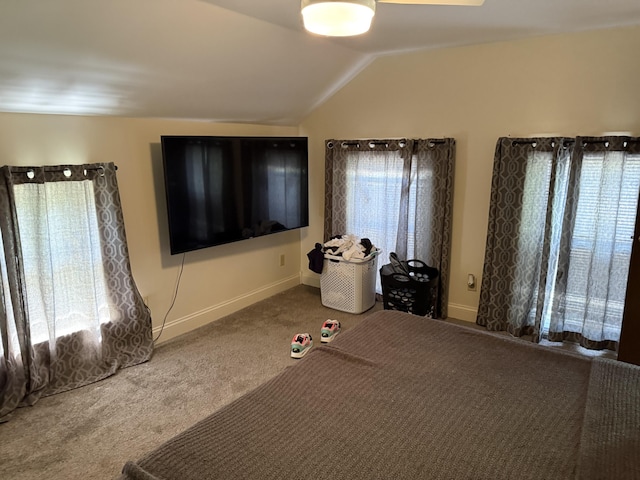 202 Kalamo St, Olivet, MI 49076 - bedroom with carpet flooring, vaulted ceiling, and baseboards