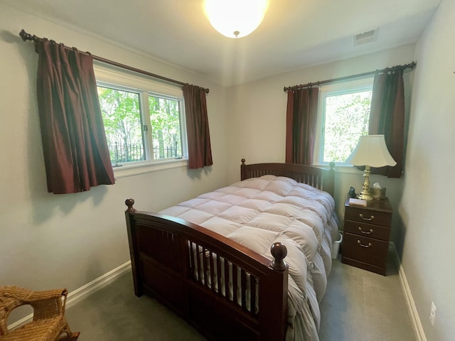 13829 Riker Rd, Chelsea, MI 48118 - photo 30