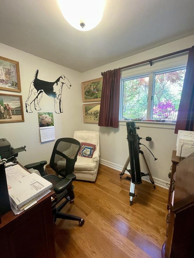 13829 Riker Rd, Chelsea, MI 48118 - photo 32
