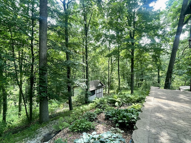 13829 Riker Rd, Chelsea, MI 48118 - photo 11