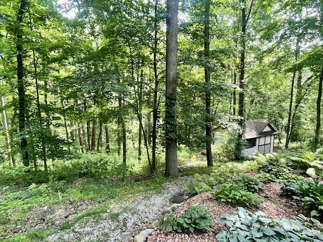 13829 Riker Rd, Chelsea, MI 48118 - photo 44