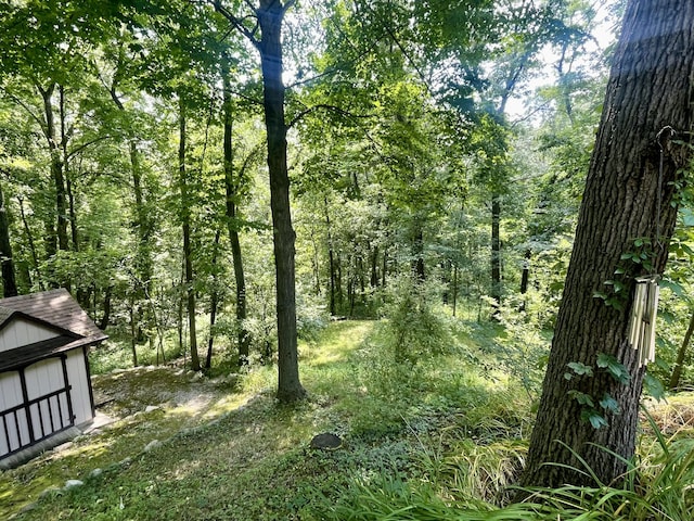 13829 Riker Rd, Chelsea, MI 48118 - photo 49