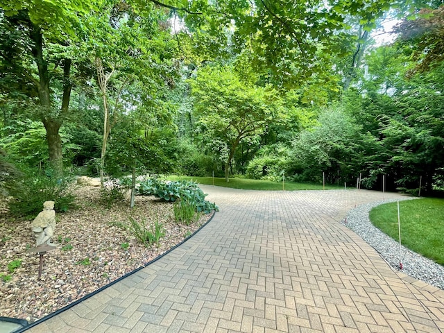 13829 Riker Rd, Chelsea, MI 48118 - photo 56